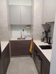 Stirling Residences (D3), Apartment #566214241